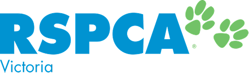 Brand Collective Image