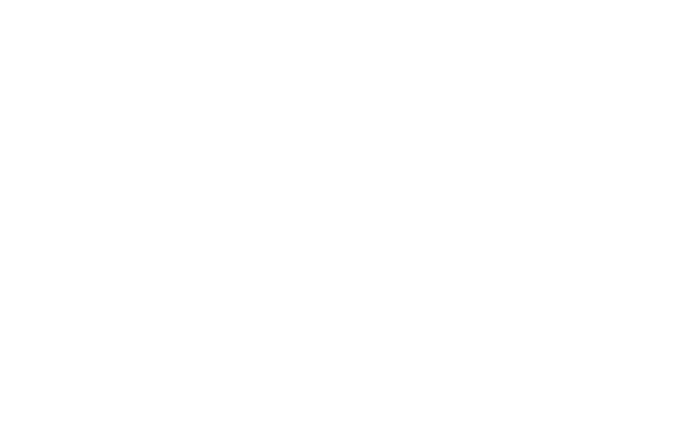 Everlast